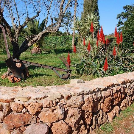Quinta Do Rio Country Inn Silves Dış mekan fotoğraf