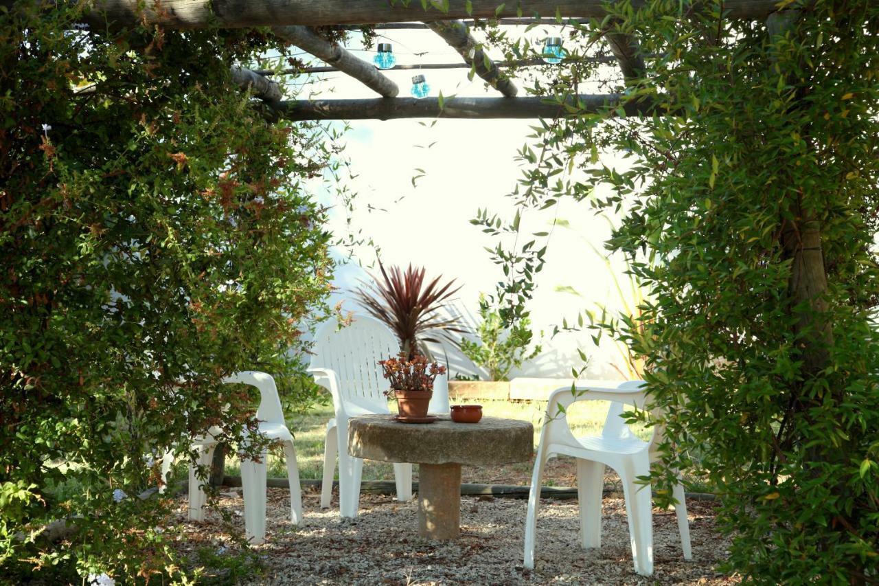Quinta Do Rio Country Inn Silves Dış mekan fotoğraf
